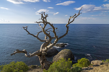 Similar image 20106352