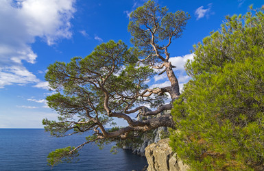 Similar image 20106353