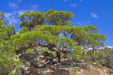 Similar image 20106354