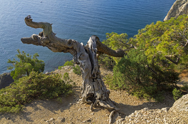 Similar image 20106356