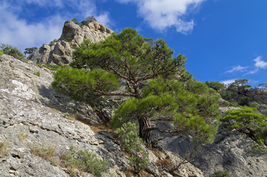 Similar image 20106357