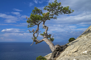 Similar image 20106359