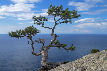 Similar image 20106360