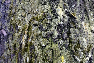 Similar image 20083073