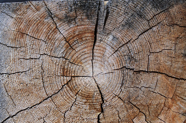 Similar image 20082898