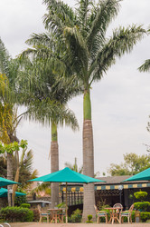 Similar image 20121492