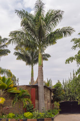 Similar image 20121495