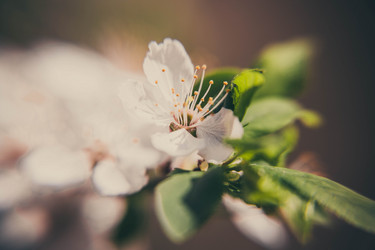 Similar image 19962849