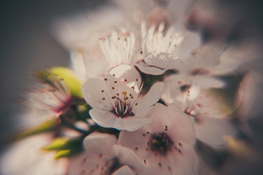 Similar image 20105717