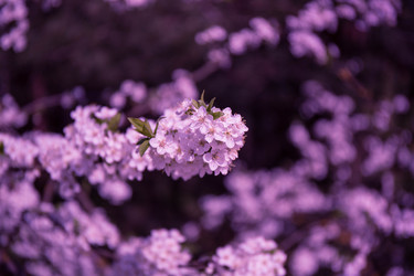 Similar image 20105729