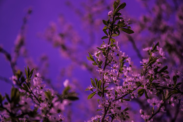 Similar image 20105719