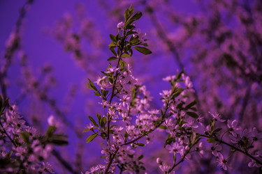 Similar image 20105720