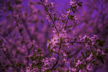 Similar image 20105721