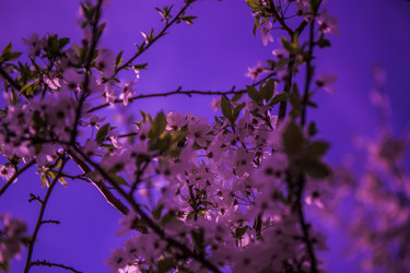 Similar image 20105722