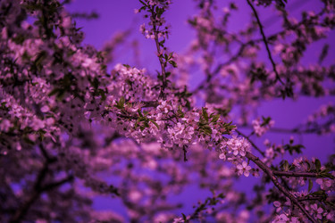 Similar image 20105731