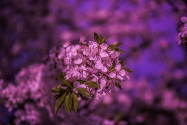 Similar image 19962839