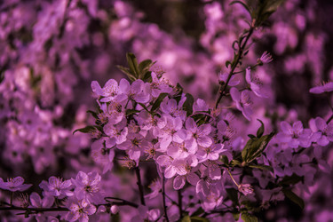 Similar image 20105733