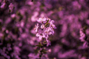 Similar image 19962900