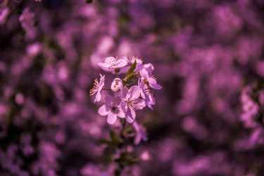 Similar image 19962778