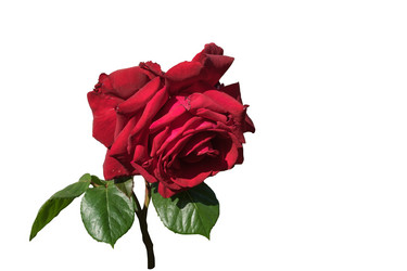 Similar image 20108182