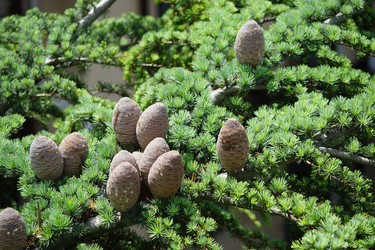 Similar image 20108216