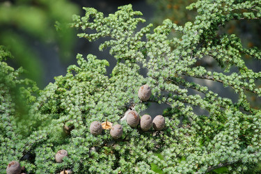 Similar image 20108217