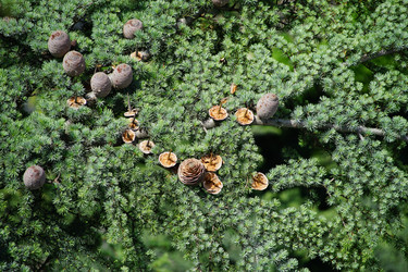 Similar image 20108218