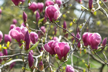 Similar image 20108118