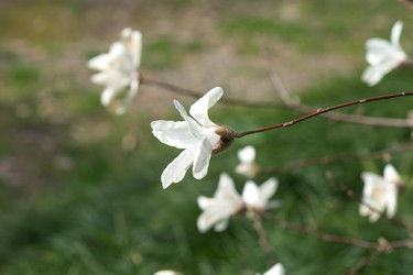 Similar image 20108120