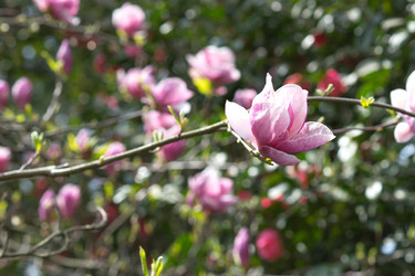 Similar image 20108122