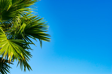 Similar image 20108142