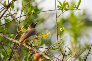 Similar image 20121719