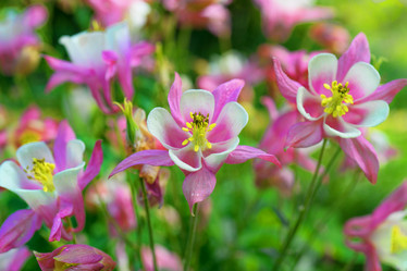 Similar image 20108223