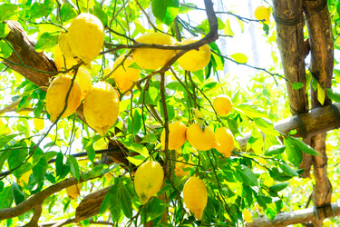 Similar image 20070027