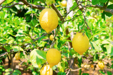 Similar image 20070028