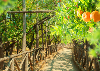 Similar image 20070030