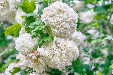 Similar image 20108224