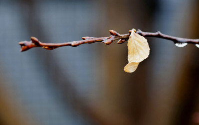 Similar image 20083043