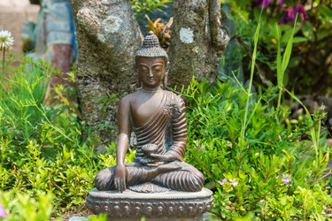 Similar image 20117556