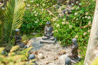 Similar image 20117440