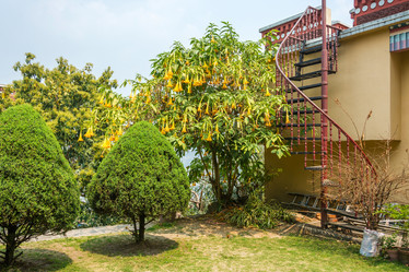 Similar image 20117443