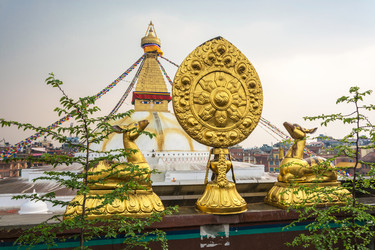 Similar image 20117527