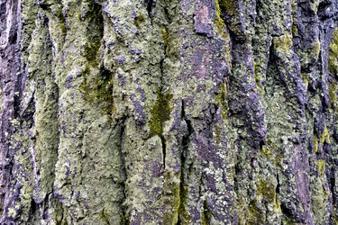 Similar image 20083191