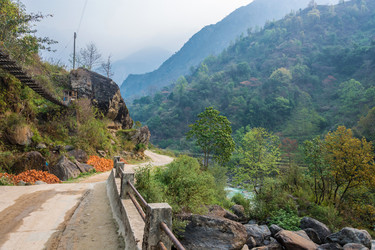 Similar image 20117460