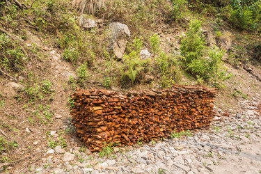 Similar image 20117524