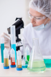 Similar image 20102804