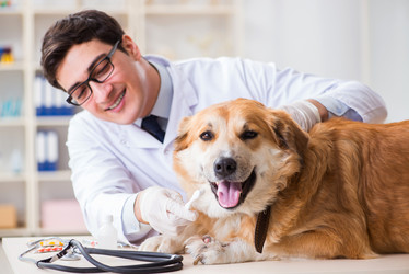 Similar image 20102980