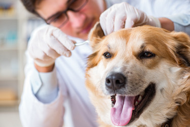 Similar image 20102984