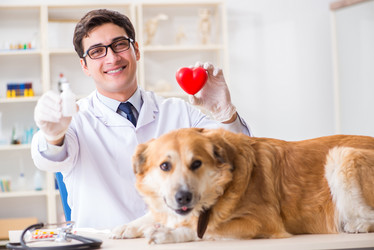 Similar image 20102992