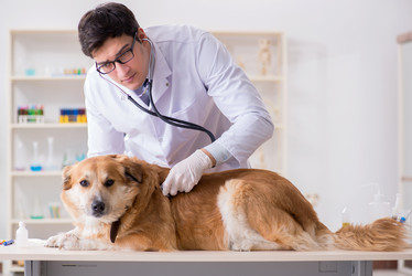 Similar image 20102993